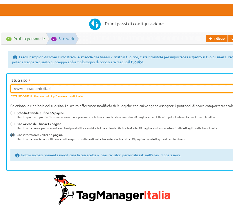 inserisci dominio lead champion con google tag manager