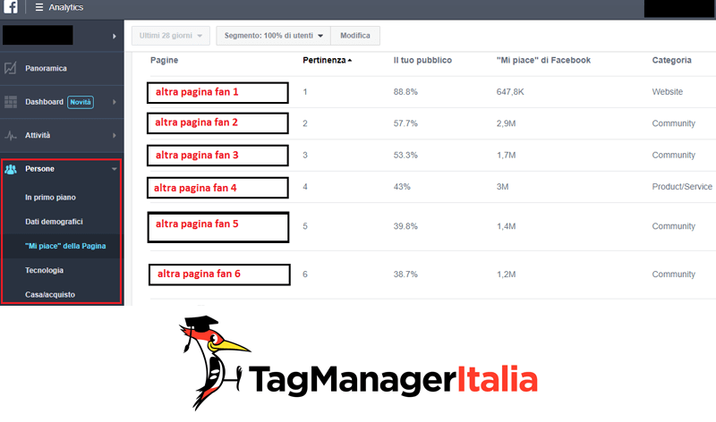 facebook analytics persone utenti