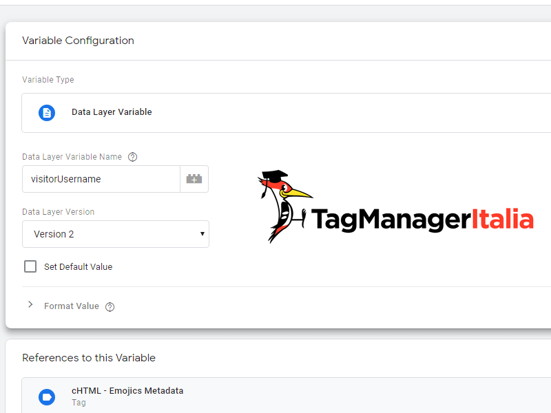 variable visitor username livello dati in google tag manager