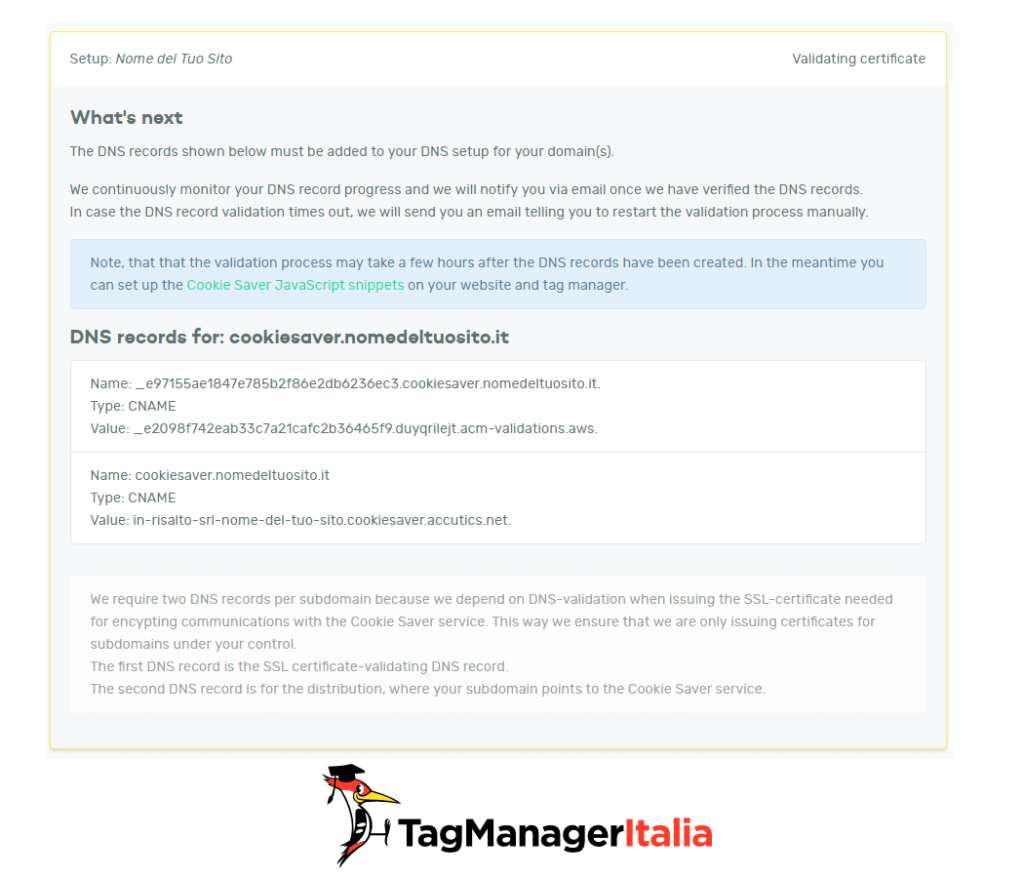 step 2 cookie saver setup confirm DNS record