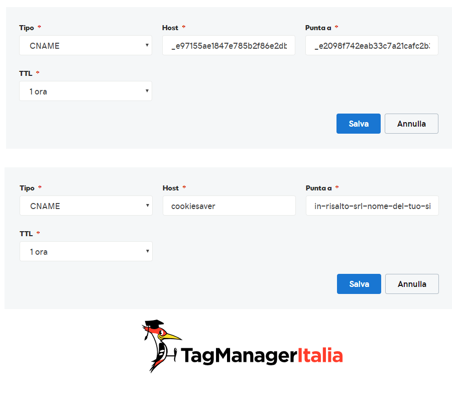 step 3 add DNS records in your domain panel