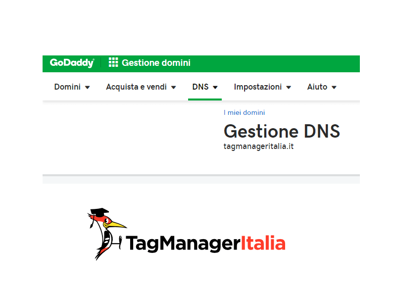 step 3 login godaddy to add DNS records