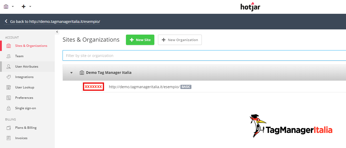 tag manger hotjar site id